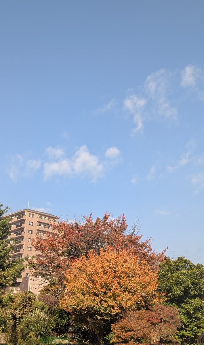 おはようございます！😊
横浜晴れてる土曜日です！
土曜日お仕事の皆様、お疲れ様です🙌🏼✨

#企業公式が毎朝地元の天気を言い合う