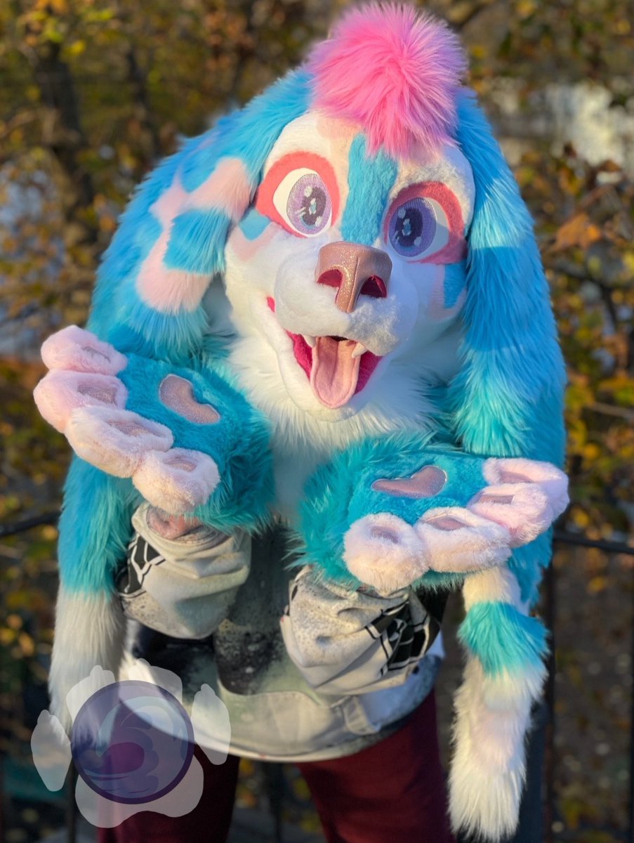 Splash 🌊 Storm Wave Suits tweet media