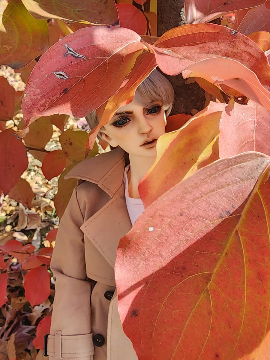 가을과 겨울 사이