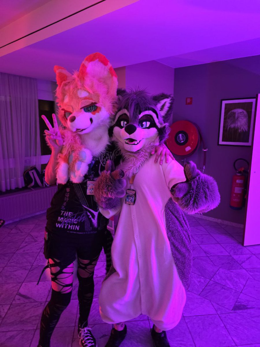 Counetail's tweet photo. I've never felt so smol :c 

📸@jefffurry4 
#FursuitFriday
#Fluufff2025
😺 @kitteryroo https://t.co/vNTwWaiZBS