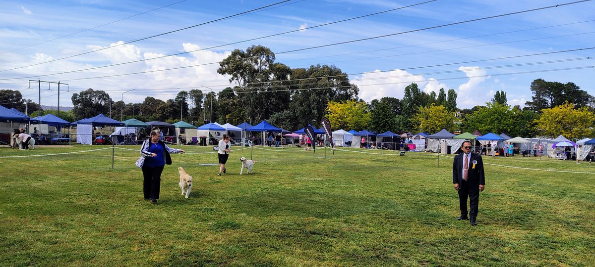 ,<a href="/F4ntozzi/">F4ntozzi</a> Našli sme ti skvelú celoaustrálsku výstavu. dogsact.org.au/events/categor…