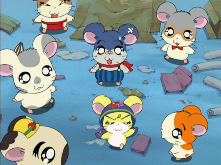 Episode 263, Paradaichu 70: 