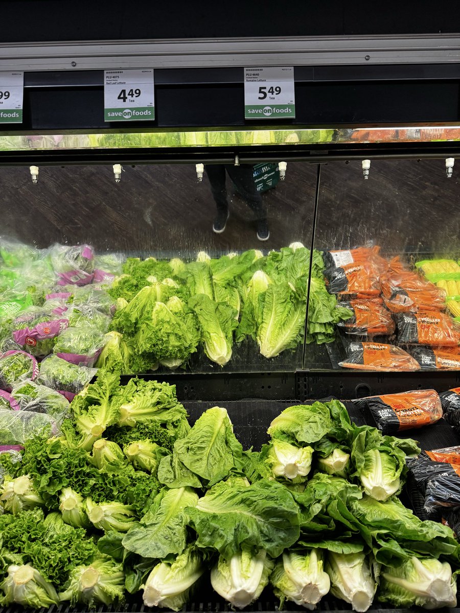 Sharon Ⓥ🌱 tweet media