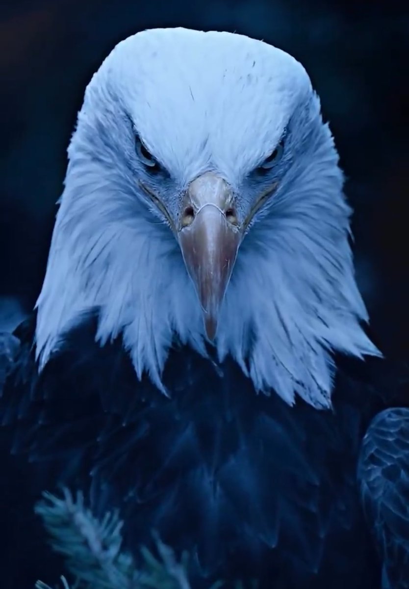 <a href="/donkoclock/">DonkConnects ♻️™</a>