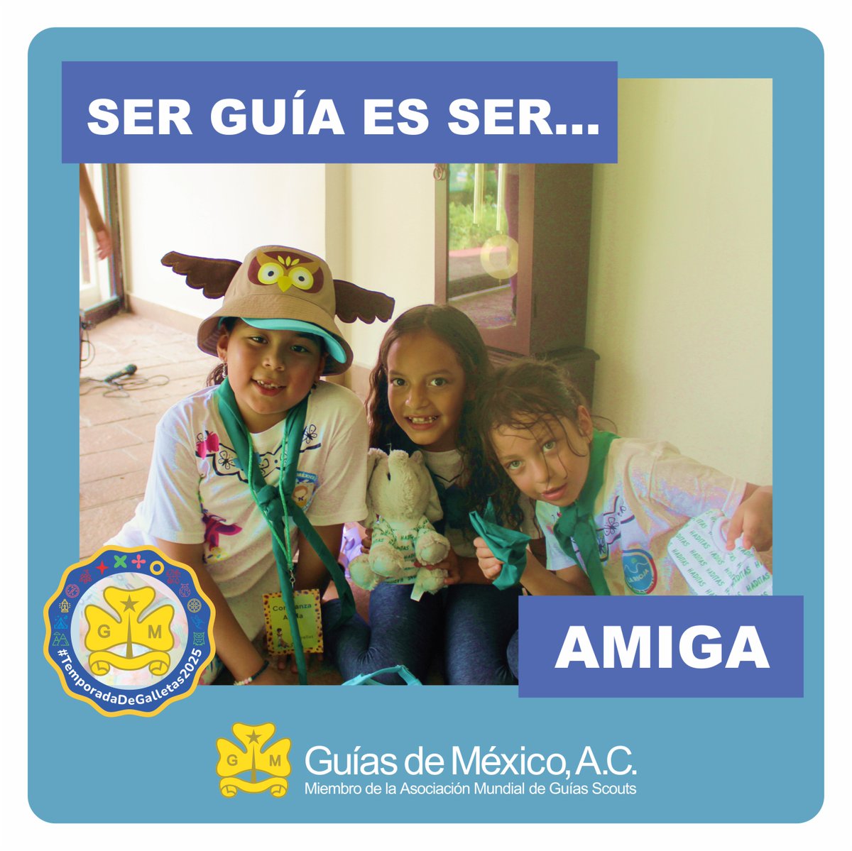 Guías de México A.C. tweet media