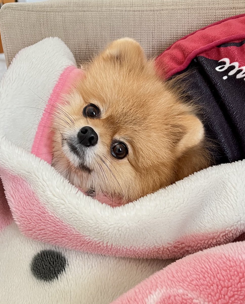 ☀️
おはよっ❣️