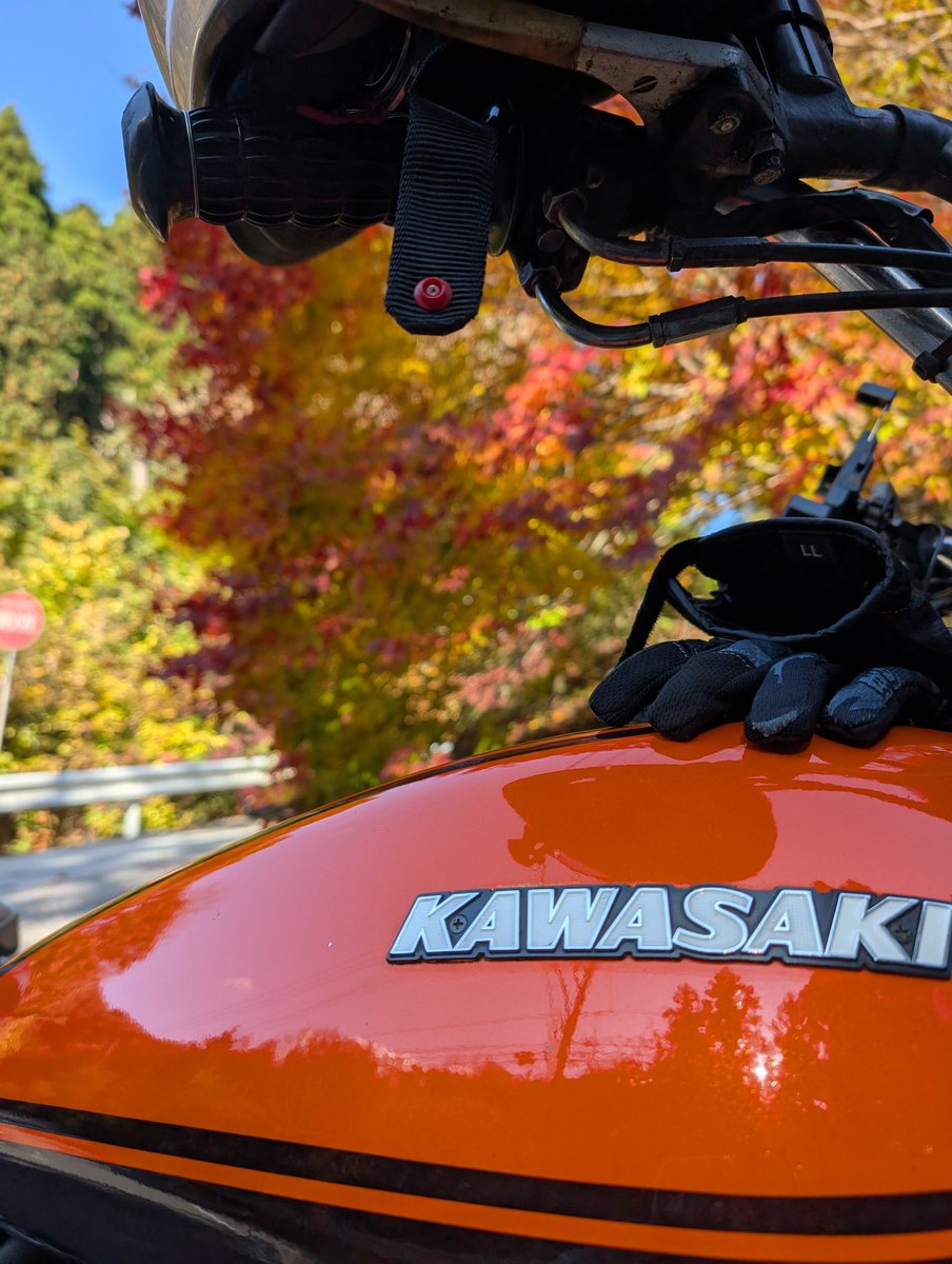 秋祭り2 あきたの物語】能代市二ツ井町「きみ恋夏祭り」開催 | あきコネ-あきた