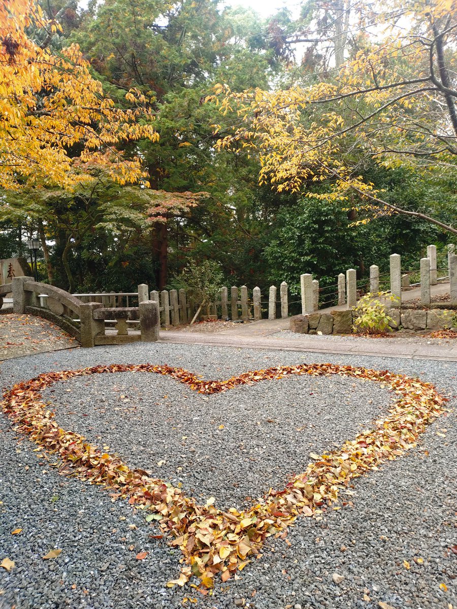 ooijinja's tweet photo. まだまだ境内の紅葉（黄葉）も見頃は先で、落ち葉も少ないですが…
まずは挨拶代わりに♡

#亀岡市 #大井神社 #鯉明神 #落ち葉アート https://t.co/UbXHipHCyO