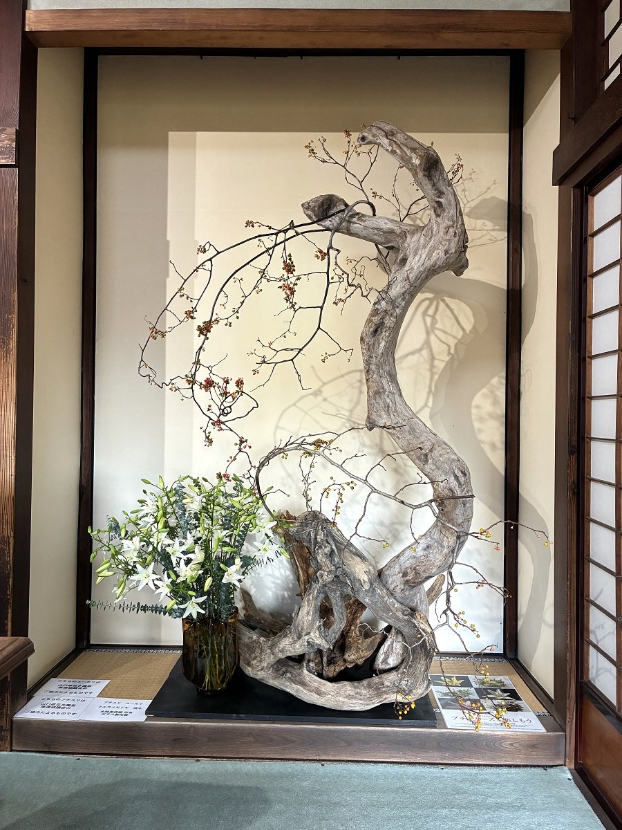 只今、華道家 #假屋崎省吾 の世界展in清遠閣を開催中です。 🌺いけばな