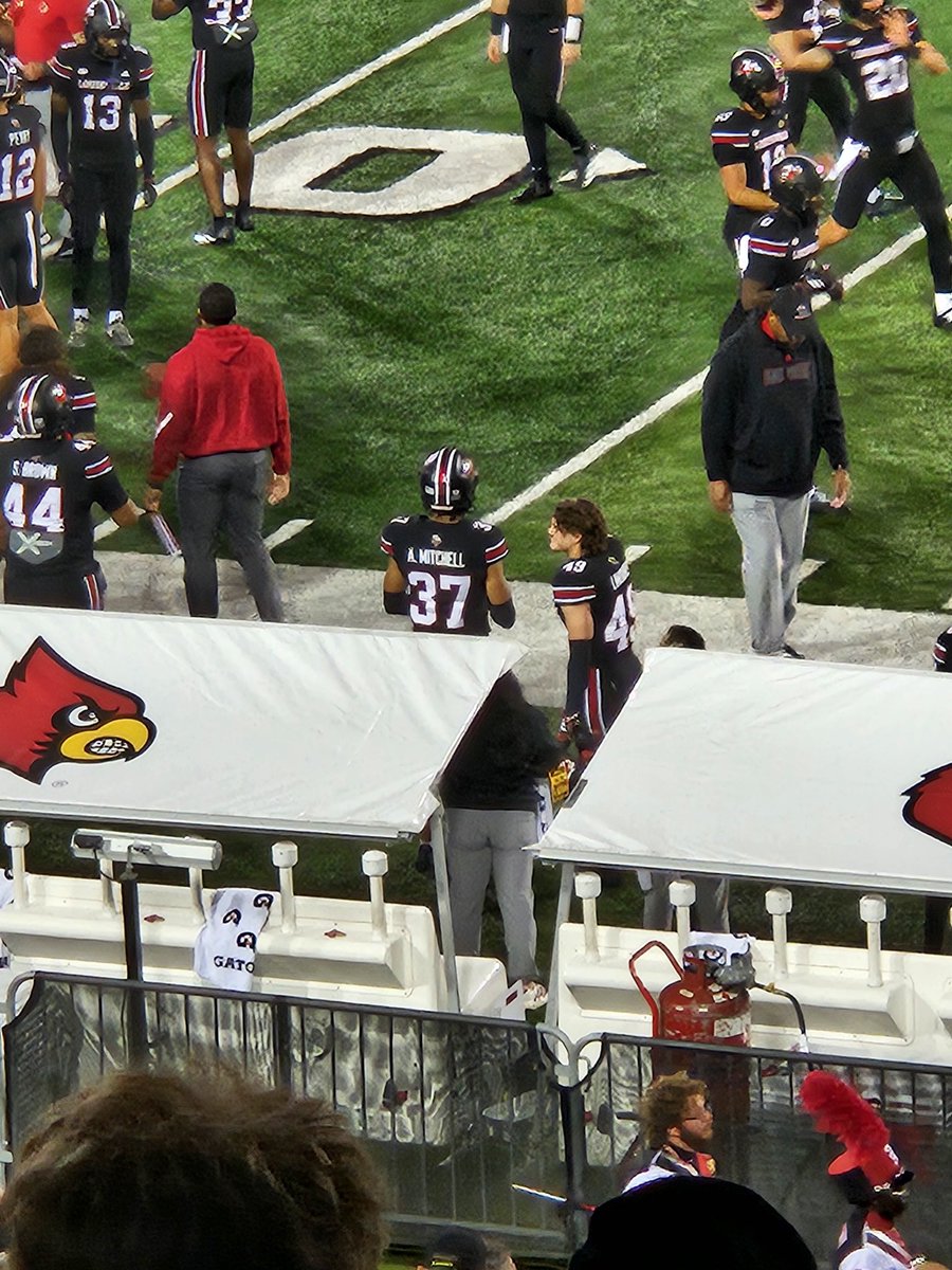 D. Mitchell tweet media