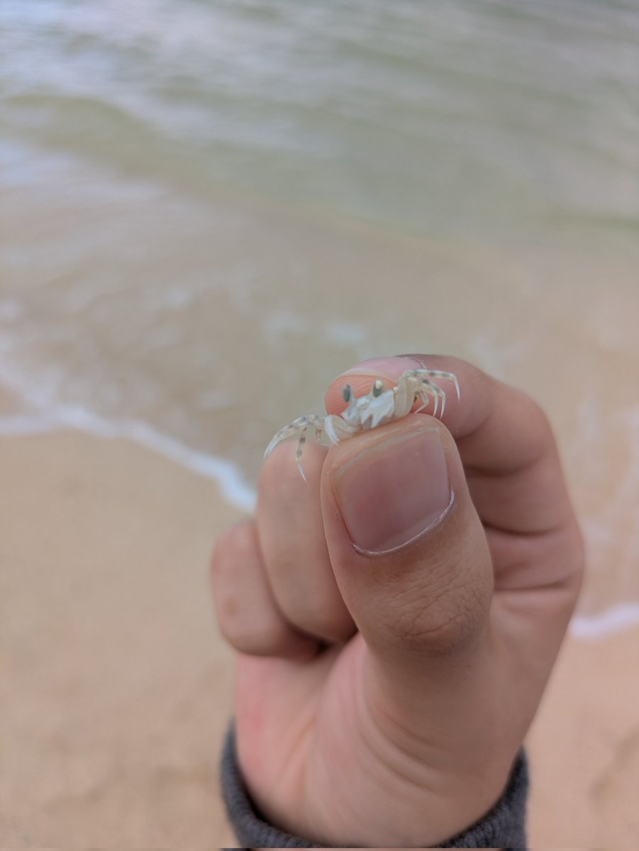 aioh829's tweet photo. 昨日は沖縄から東京に帰ってきました！めちゃんこ海綺麗だし、ホテルも最高でした～！ https://t.co/ojhZqUFNTG