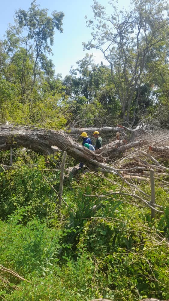 Hoy nuestras brigada trabajaron entre Marea del Portillo y Mabay <a href="/ETECSAGranma/">Bayamesa2025</a>, sin duda los cienfuegueros son aguerridos, no se detienen ante imprevistos ni avatares 👨‍🔧💪💙🤝
#EtecsaConCuba 
#GenteQueSuma 
<a href="/MiguelASurezSa2/">Miguel A. Suárez Sabina</a> <a href="/Irenaldo5/">Irenaldo Cruz Lopez</a>