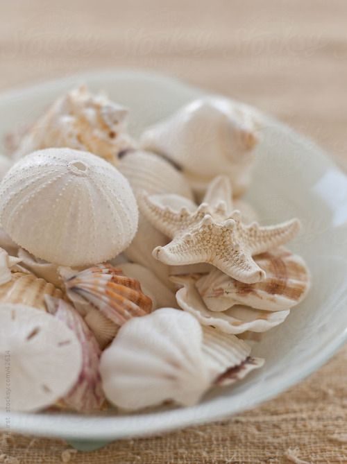 Clover (@nowbba) on Twitter photo 