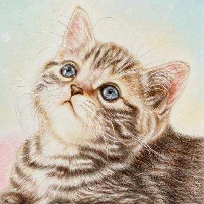 noriページです Warning Indicator Switch No.25290F4100/25290F4300 Warning Light