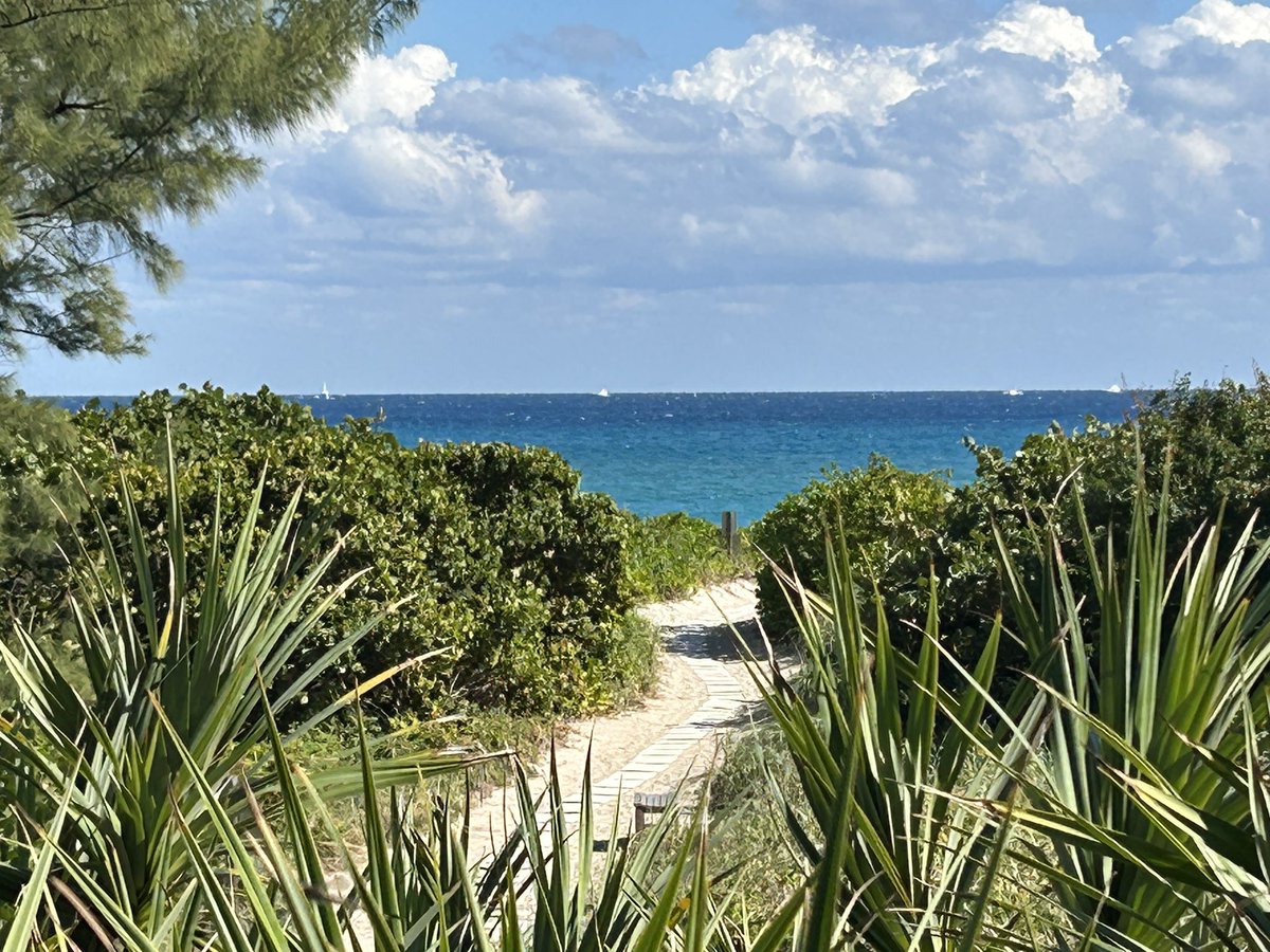 AbsWifey1776's tweet image. Today was a good day in Palm Beach. Last day. 
@RealAbs1776 💜💜