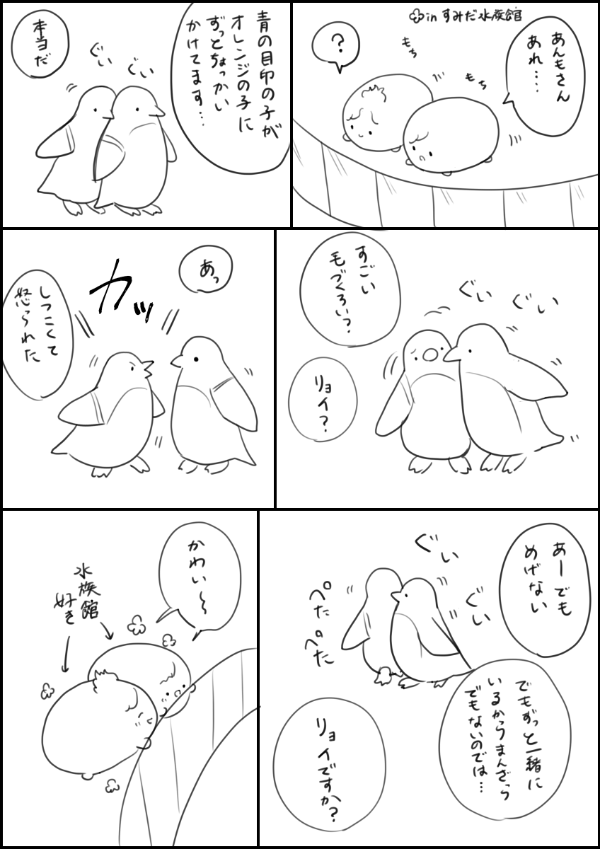 あんもさんとわい、水族館でのできごと 