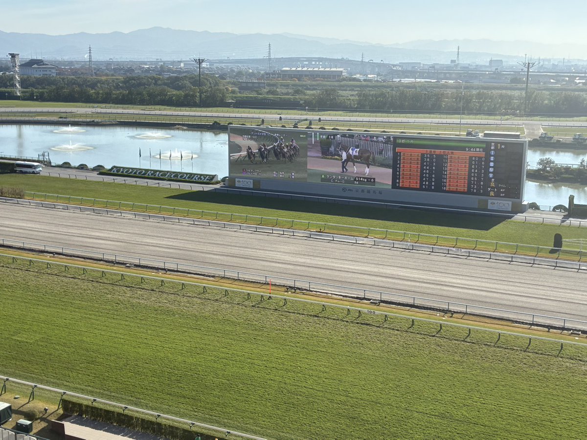 ☆京都の馬場情報(11月15日)☆ 馬場状態：芝 良、ダート 良 クッション