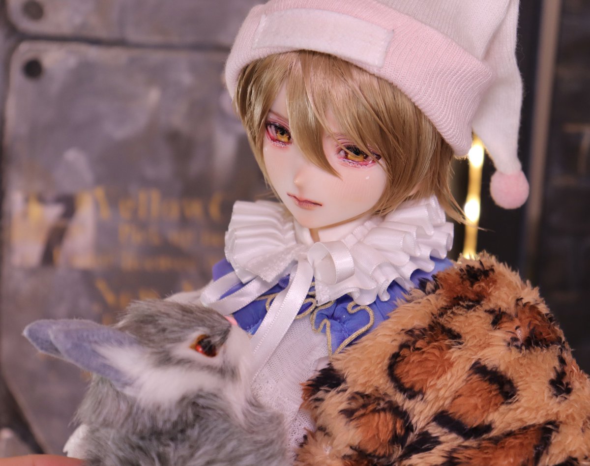 ⟡꒰ঌ しらゆき ここ ໒꒱⟡.· (@shirayuki__doll) / Posts / X