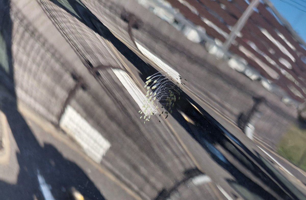 key01123_toic's tweet image. クルマになにかが生えてるんですけど。
気持ち悪いんですけーど。