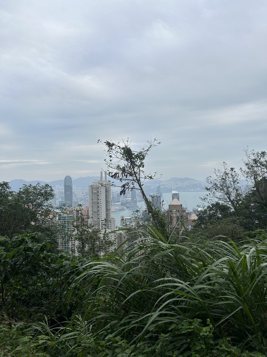 Suzannah Benjamin tweet media