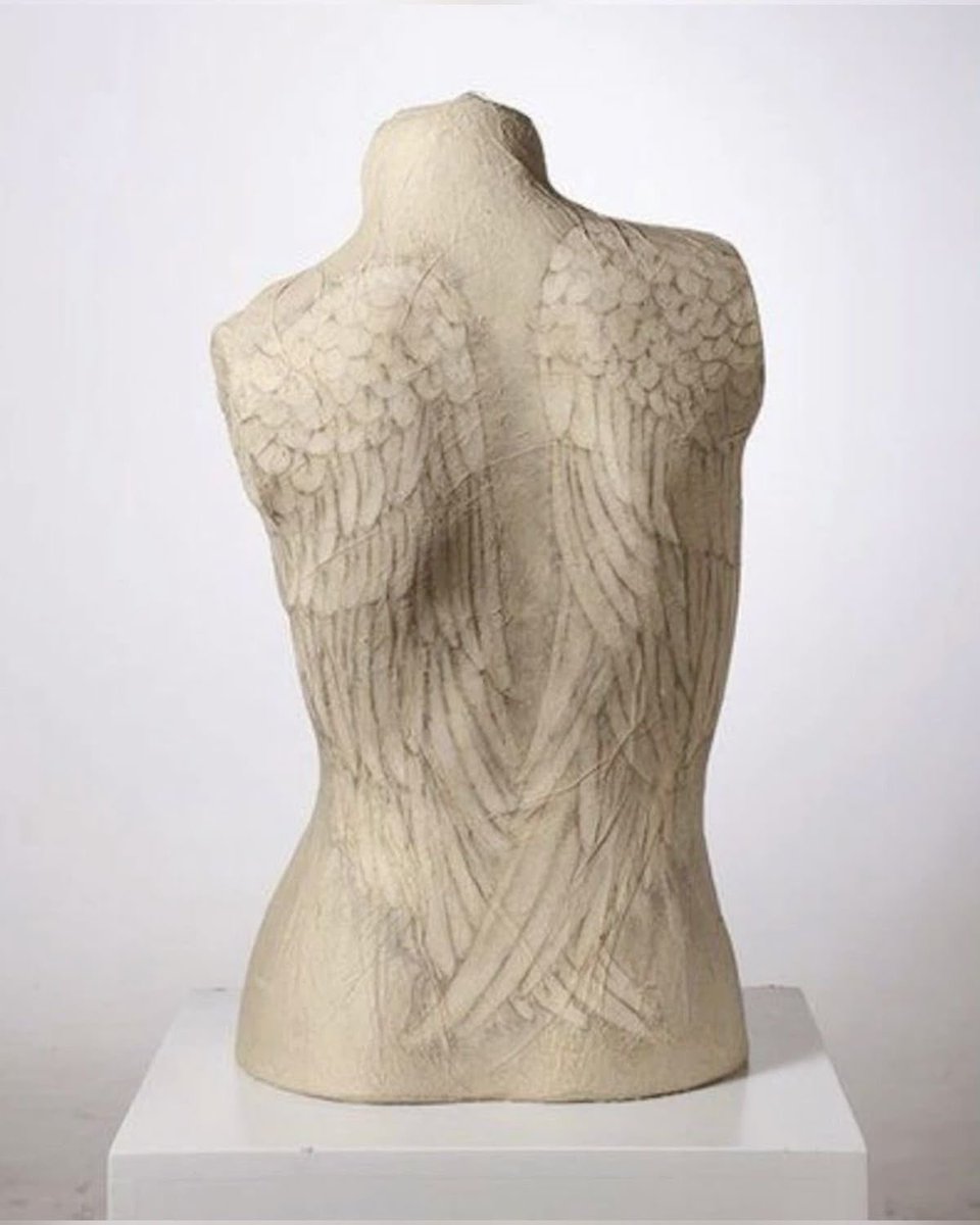 porcel444in's tweet image. divinize