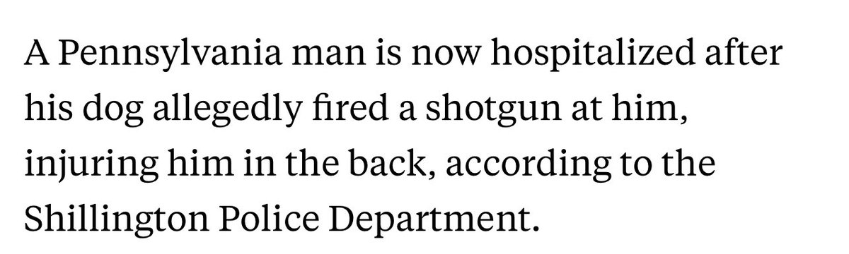 Jeff Putnam |✍ tweet media