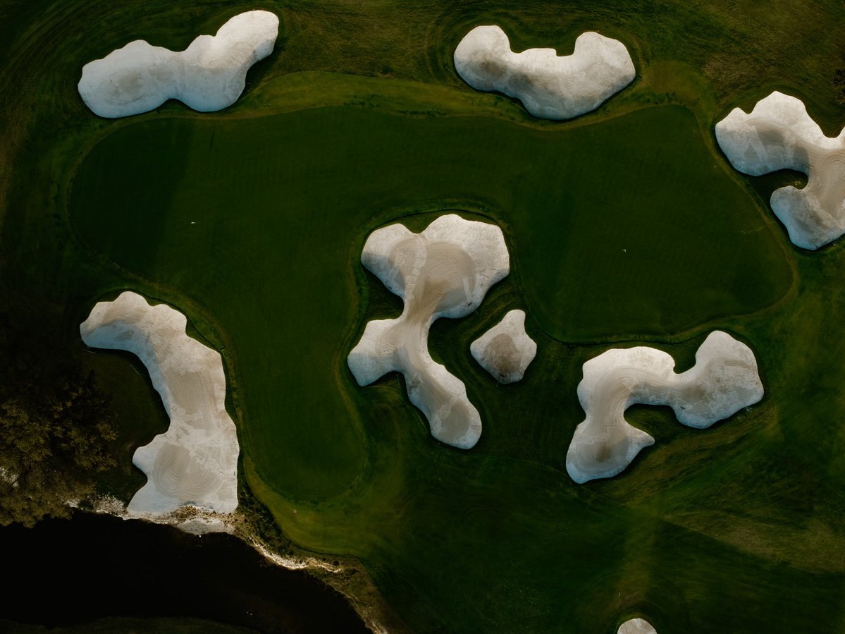 It's always great to be in Mr. Hogan's neck of the woods. Shady Oaks is such a delight.