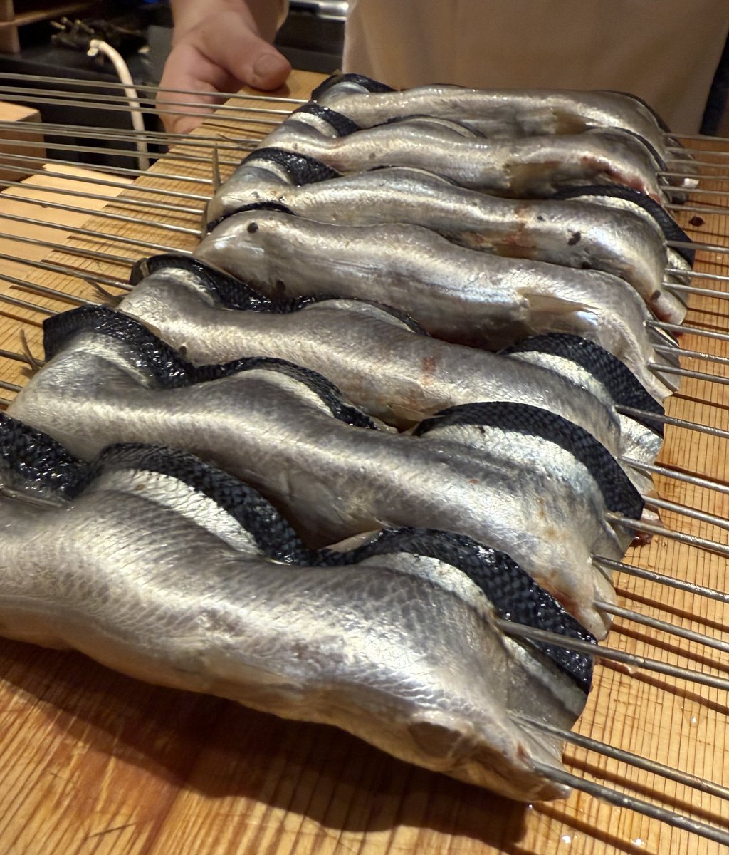 caoru_left's tweet photo. やっと秋刀魚にありつけた
九絵抜群でした https://t.co/Y57LyNTQtJ
