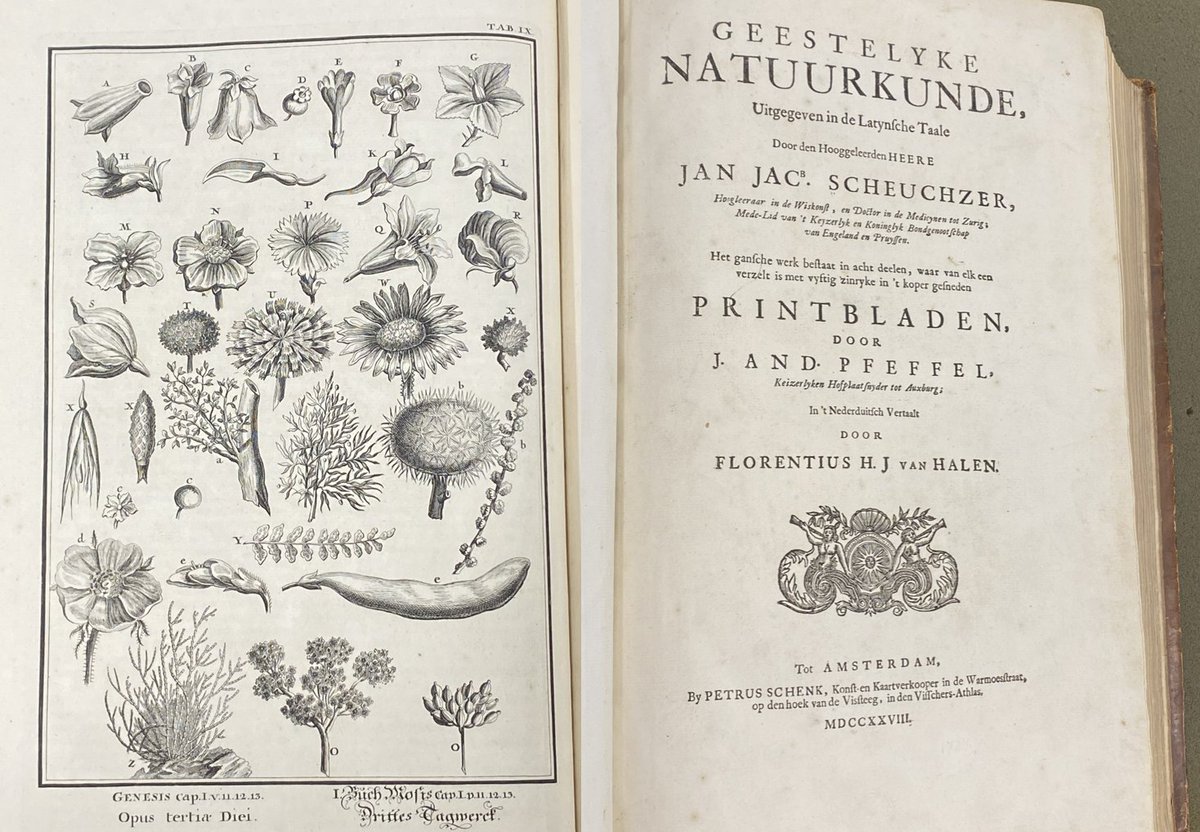 PalmeriJoAnn's tweet image. #SpecialCollections Image-A-Day📚🌷
Illustrations of plants from volume 1 of 1728 Dutch work Geestelyke Natuurkunde (Spiritual Physics) by Johann Jakob Scheuchzer (#HistSci Collections @OU_Libraries) #FloraFriday