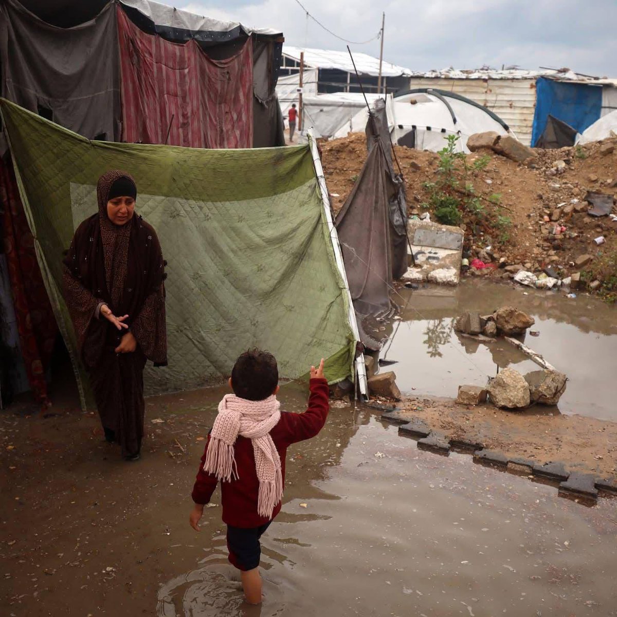 ..
#شتاء_غزة 🌧️ بينما يحتفي 
الناس بالمطر كنعمةٍ تُحيي الأرض … 
يعيش إخوتُنا في الخيام خوف كل قطرةٍ 
تتسرّب إلى بردهم وجوعهم وضعفهم 🌧️

اللهم كن لهم ستراً ودفئاً وسنداً
وارفع عنهم ما نزل، واجبر كسر 
قلوبهم برحمتك #أنقذوا_شتاء_غزة 🌨️▪️