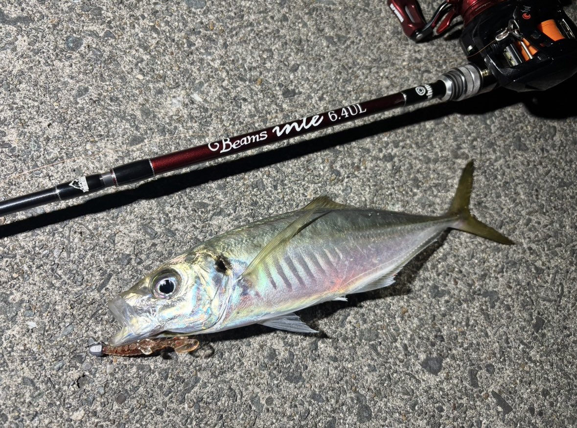 INX.label・ジュラクローXG。 このワームはカニなのか。 フナムシな