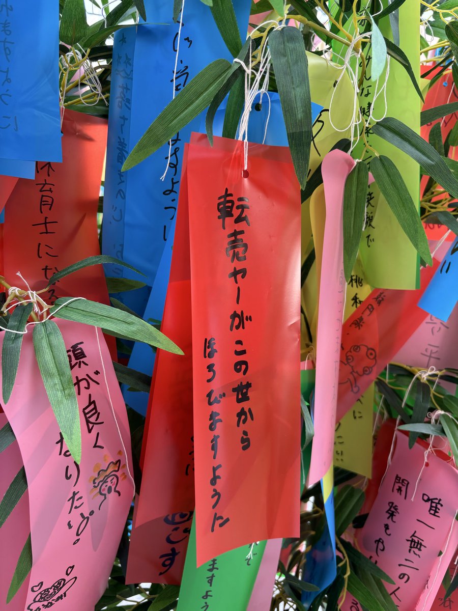 Masanori / ぴよ氏 (@piyo3728) / Posts / X