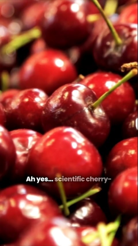 WorkLifePlus's tweet image. Ran 100 backtests. Kept the prettiest one.

Congratulations — you’re now the proud owner of overfit optimism. 🤖📈

#quantfinance #backtesting #datascience #overfitting #tradinghumor #financehumor #modelrisk 
instagr.am/p/DRDueZXDWsS/
ift.tt/eSxAqy3