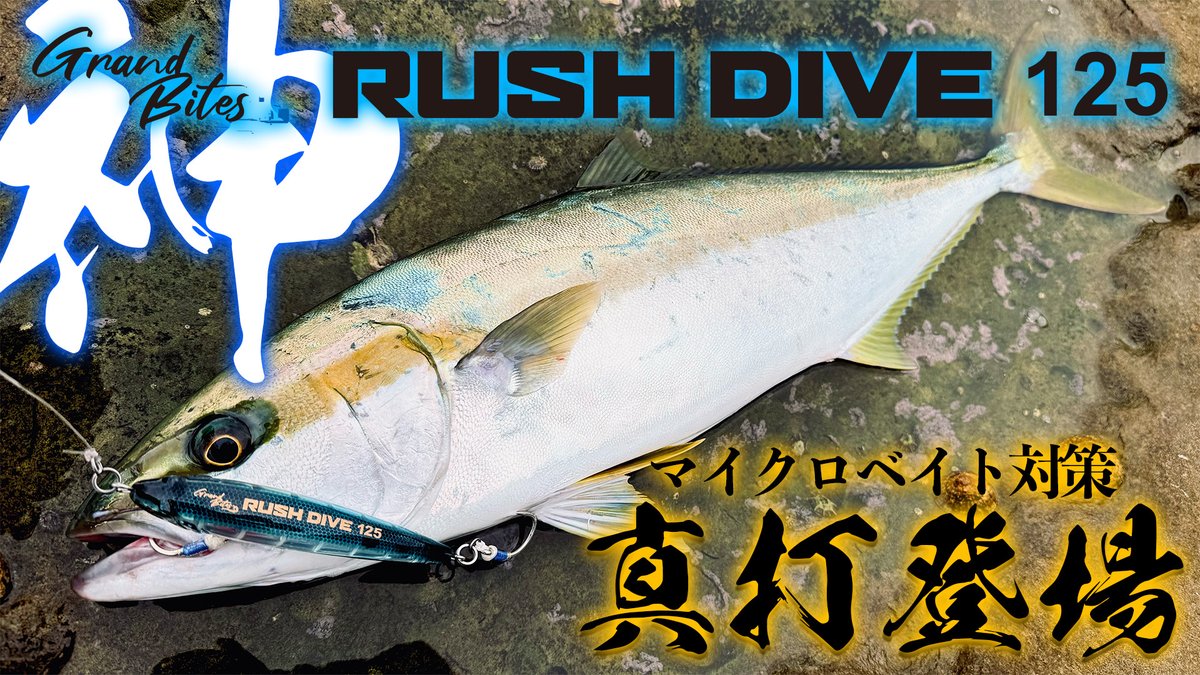 えびこ (@NALUSanglers) / Posts / X