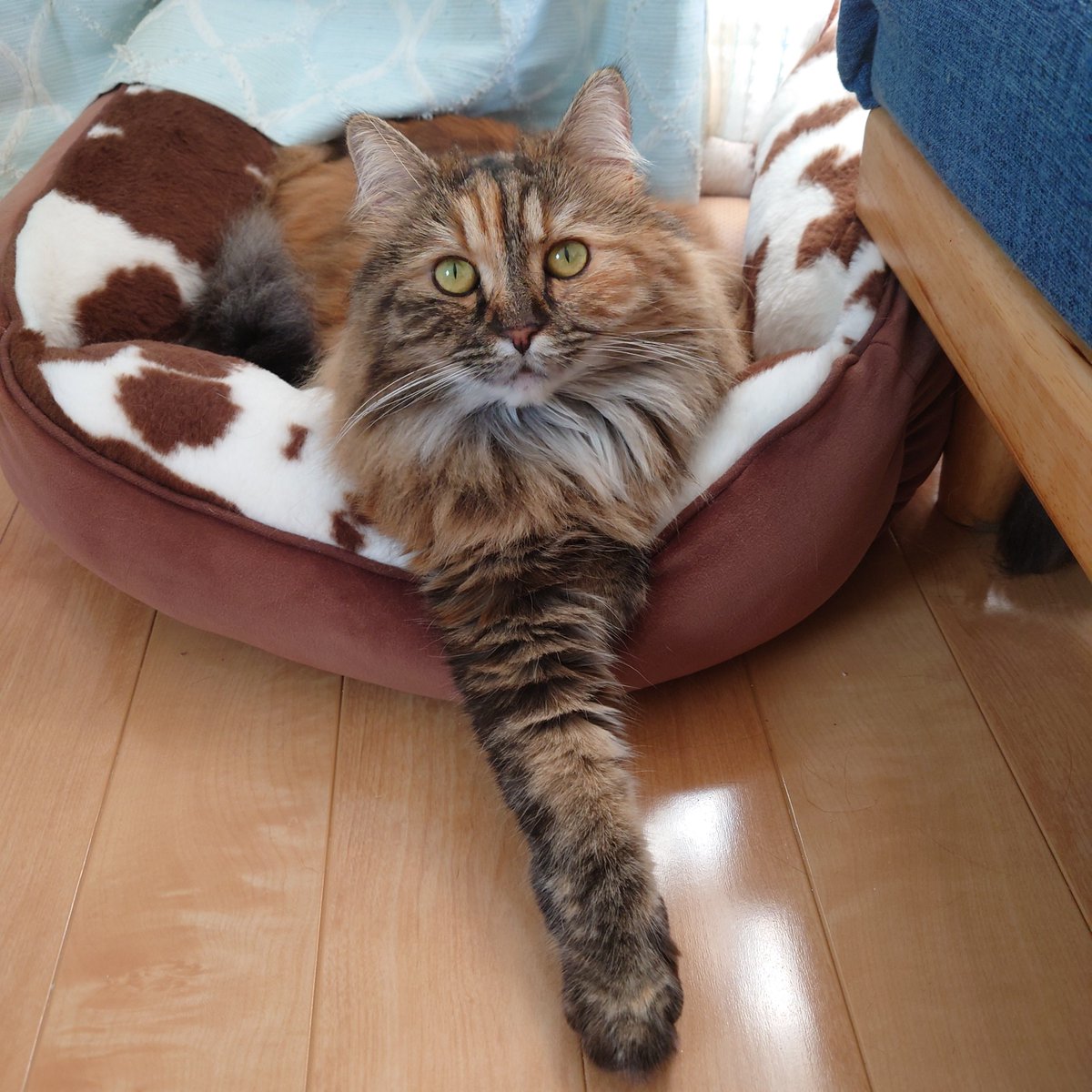 めーちゃん足長いね〜