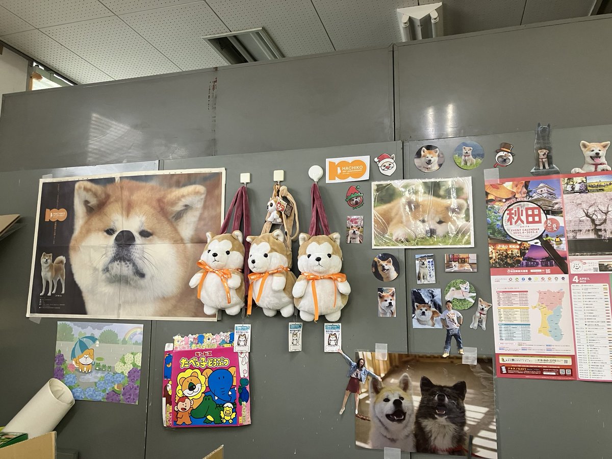 大館 思い出 秋田犬ツーリズム #HACHI100 #hachiko #Akita #odate