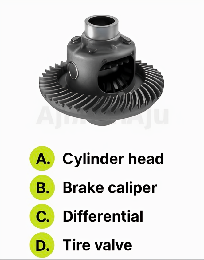 Connie 🇺🇸 tweet media