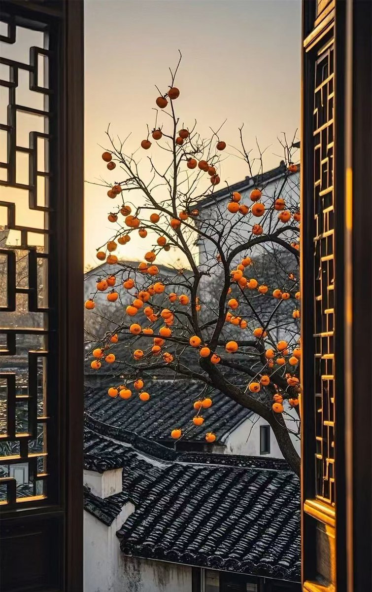 one 🐰（互关互赞互粉）100% tweet media