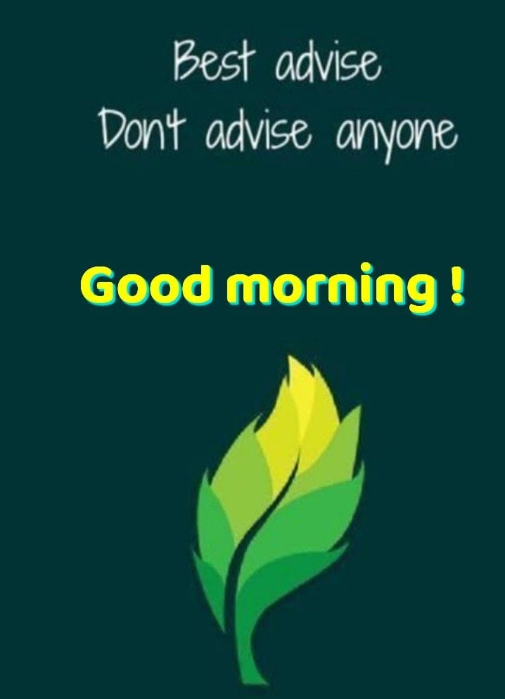 Saturday Sensibility 🌟 🌞