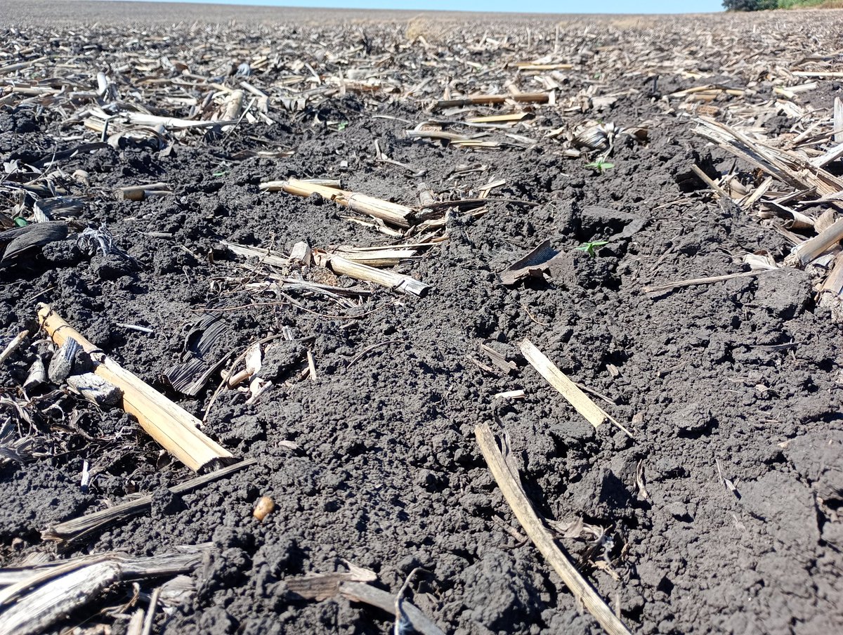 Aleferretti tweet media