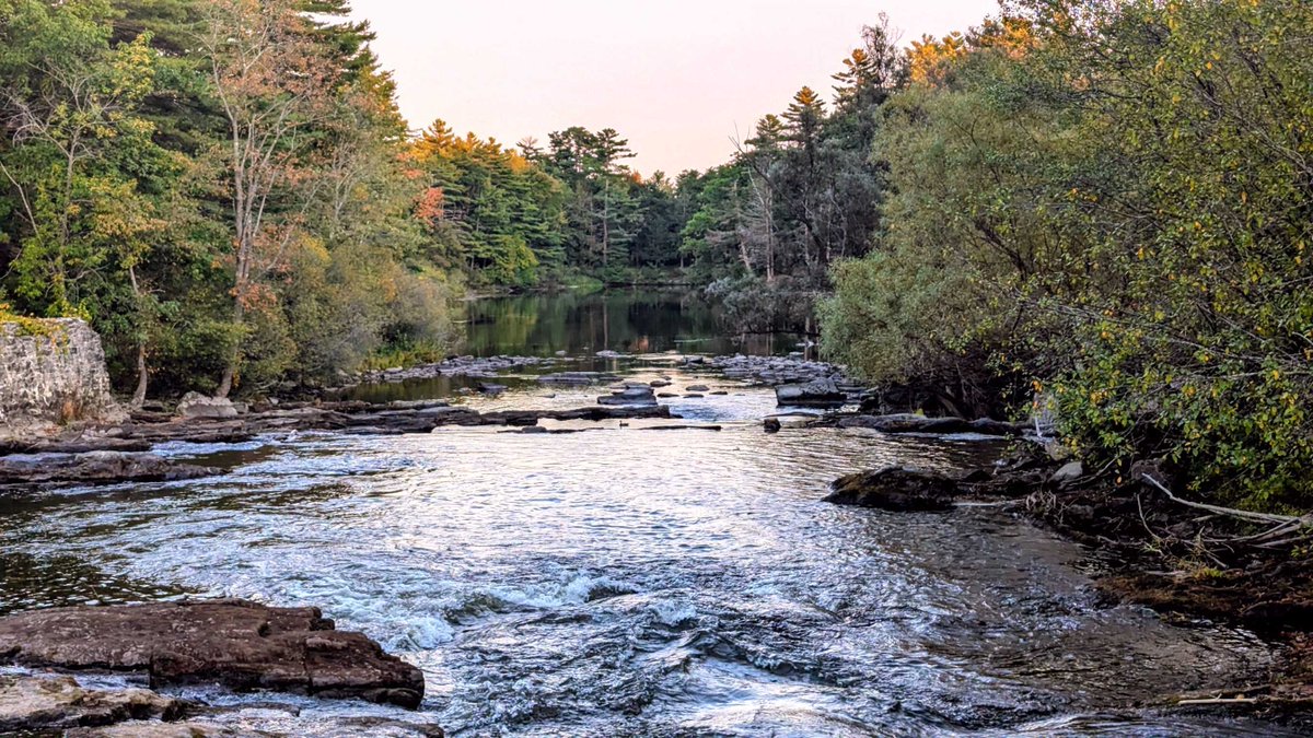 Big Mistake. Big. Huge. - mailchi.mp/chenmark/bigmi… Don't let the low key demeanor fool you