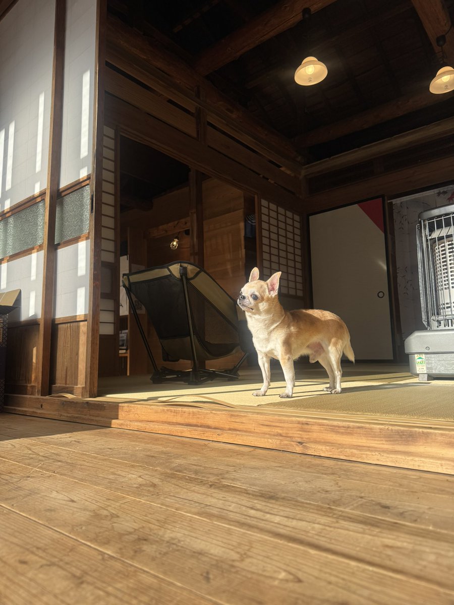 2525netsuko's tweet photo. 野岩サウナアウフグースDay🍂

日光は紅葉狩り日和の最高なお天気！

秋だぁ🍂🥰 https://t.co/j44owzBzSw