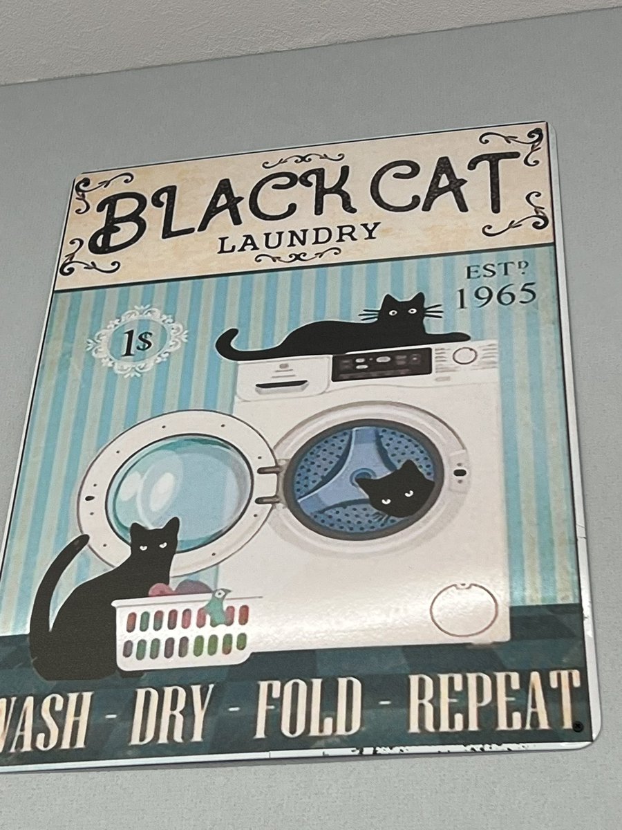 Laundryランドリーボーイのポスター Laundryランドリーボーイのポスター Laundryランドリーボーイの