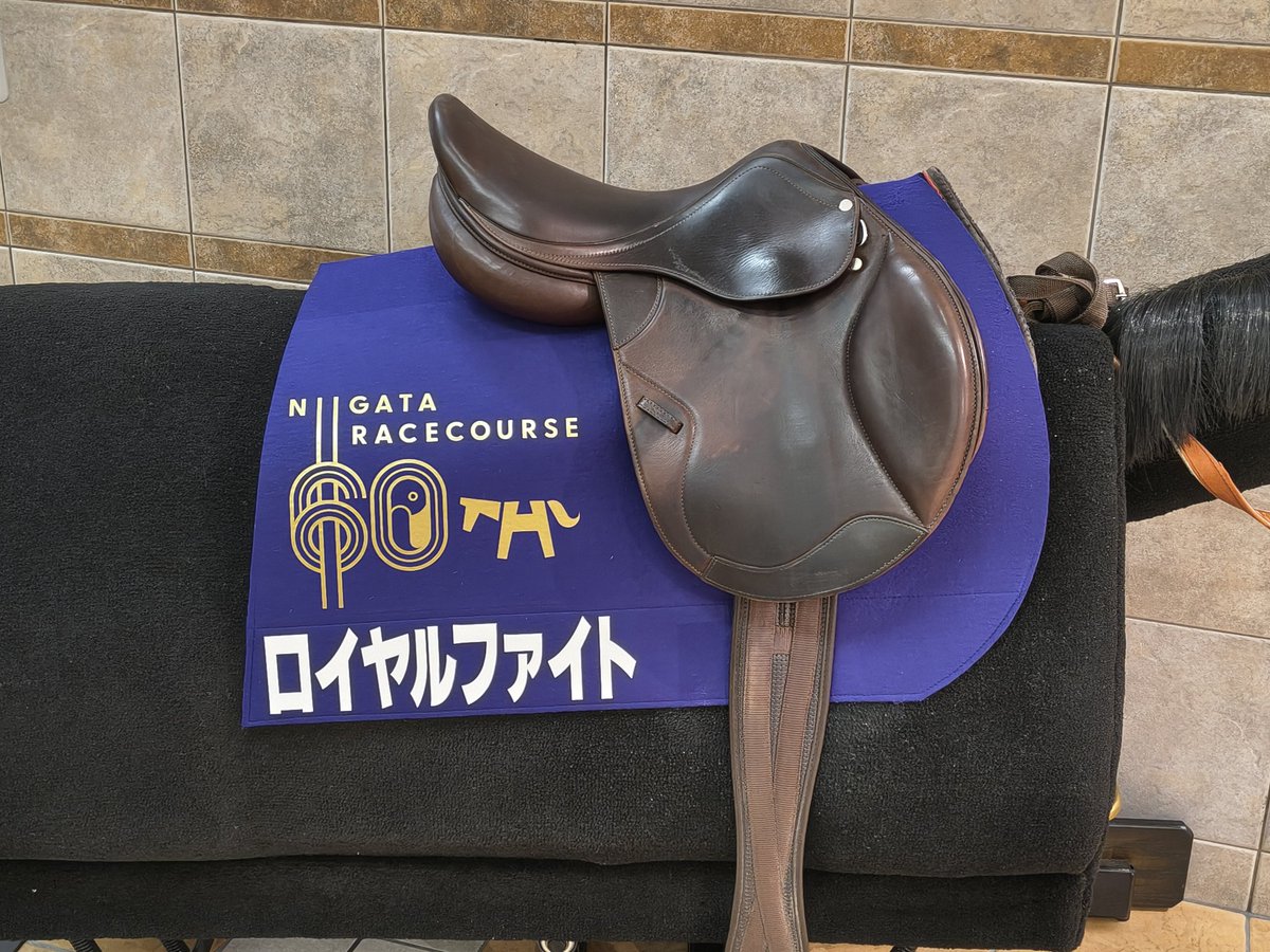 新潟競馬場にロイヤルファイトのゼッケンが飾られていました