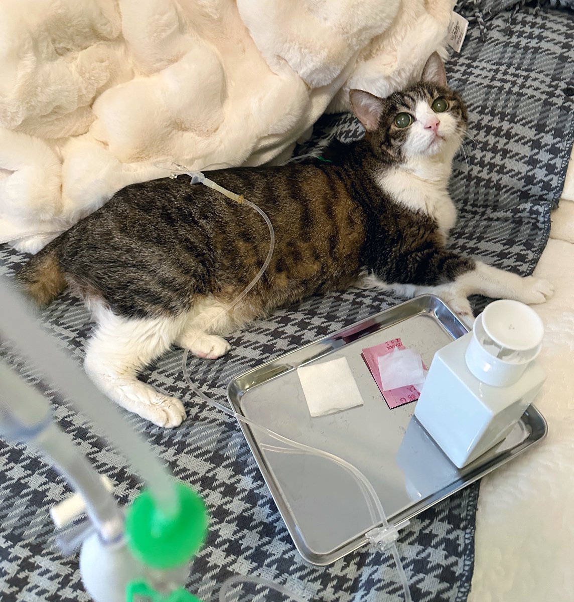 ねぇ？！きょうのてんてき、ぬるくない？！