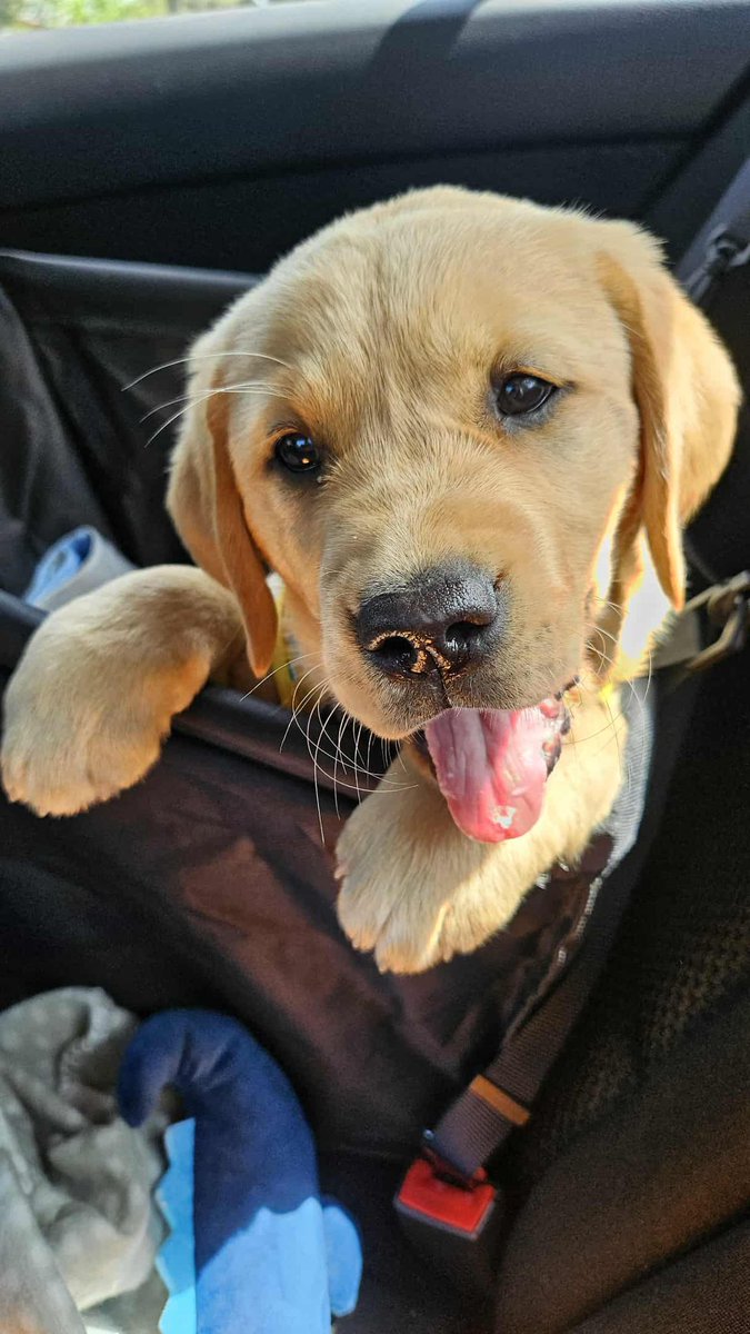 Ed Pascoe tweet media