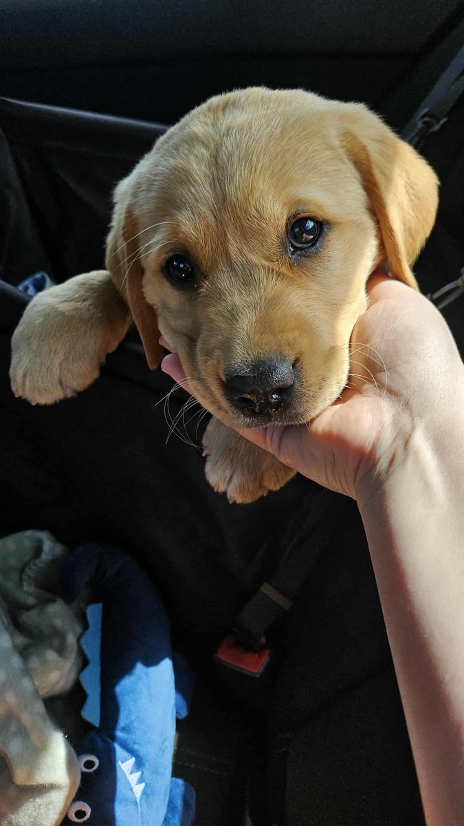 Ed Pascoe tweet media