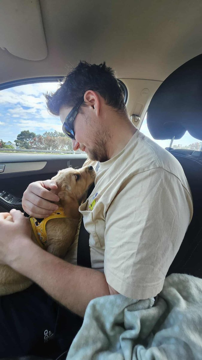 Ed Pascoe tweet media