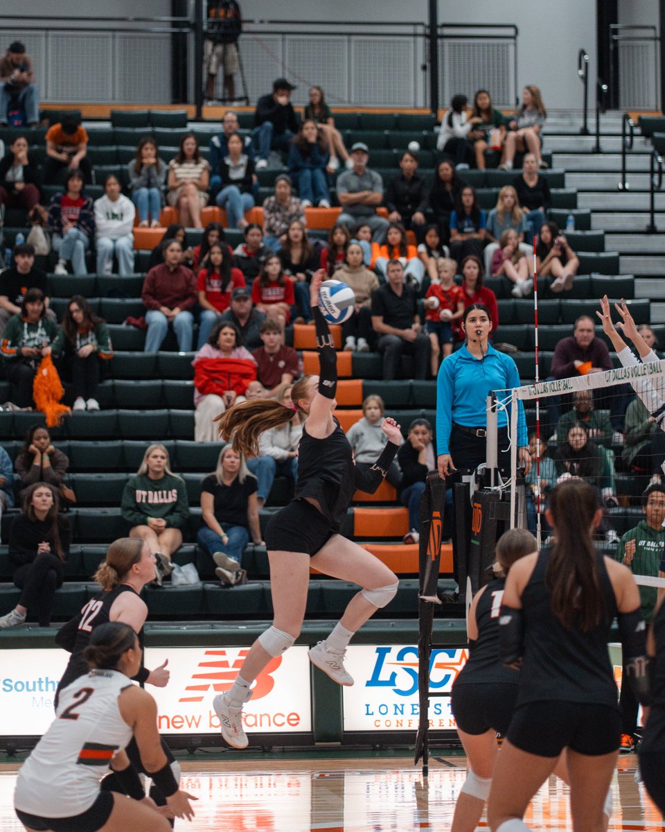 UT Dallas Volleyball tweet media