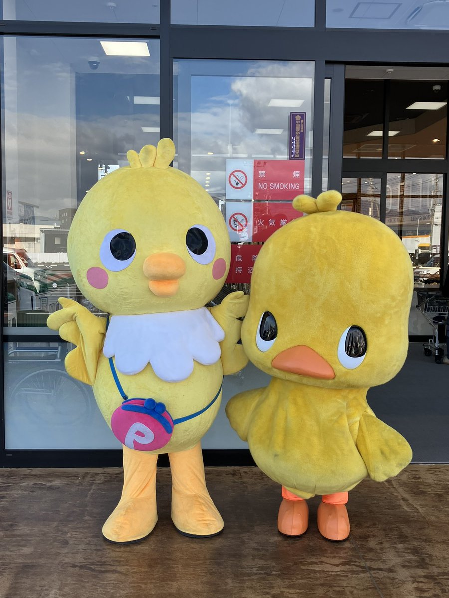 川中島店にピコピー&ひよこちゃんがやって来た‼️🐥 この後も11:30〜と